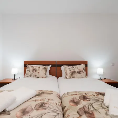 Apartment Casa Da Petisqueira 54, Paredes-oporto Rebordosa